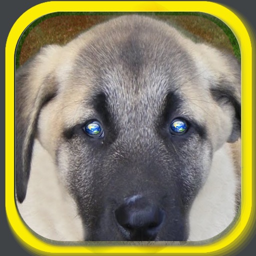 Funny Dog Puzzle Icon