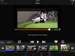 LoopTube HD - Autoplay Videos in a Loop iPad image 2