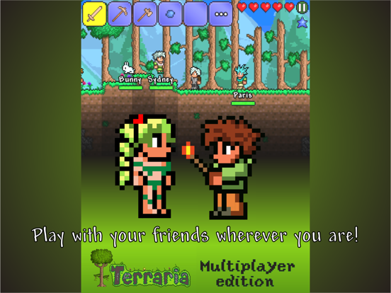 Screenshot #4 pour Multiplayer Terraria edition