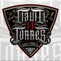 David Torres Ink