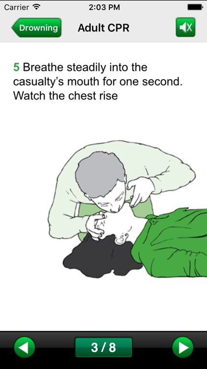 St John Ambulance First Aid