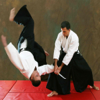 Learn Aikido Techniques - ANTHONY PETER WALSH