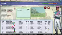 Game screenshot Jockey Rush hack
