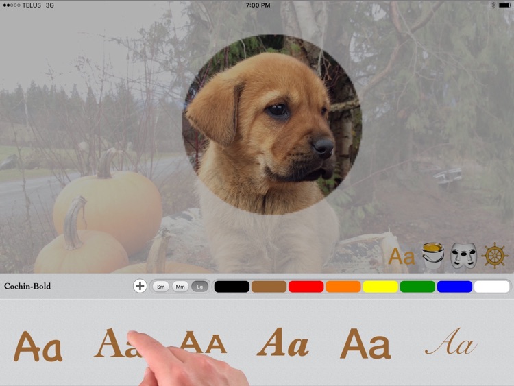 CREATEit PRO screenshot-3