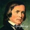 Schumann Symphonies