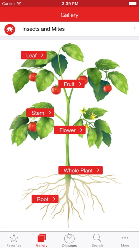 Tomato MD - tomato-md-plant-part-selection