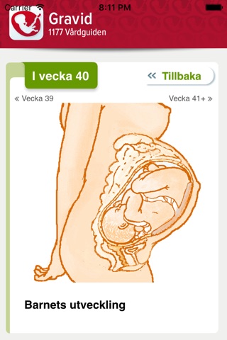 Graviditetskalender – fostrets utveckling vecka för vecka screenshot 3