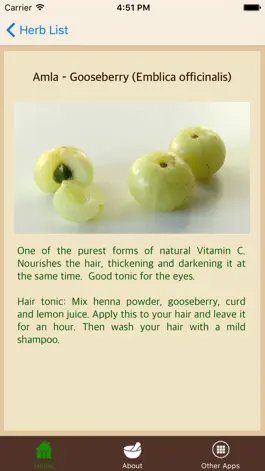 Game screenshot Ayurvedic Remedies - Treatment - Herbs hack