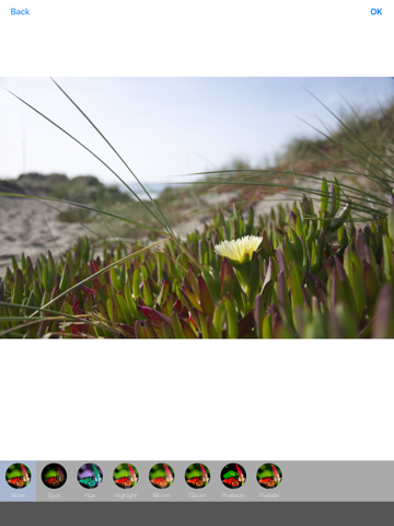 PhotoEffect - Free Pic and Photo Collage Maker & Grid Editor iPad screenshot 1 - Photo & Video app