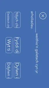 Ap Cywirdeb Iaith screenshot #3 for iPhone