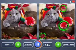 Game screenshot Where’s the difference? - Find and mark five photo retouches mod apk