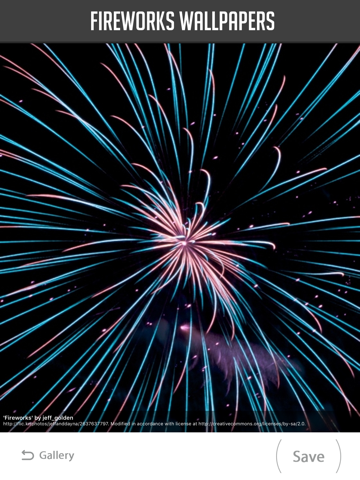 Screenshot #6 pour Fireworks Wallpapers!