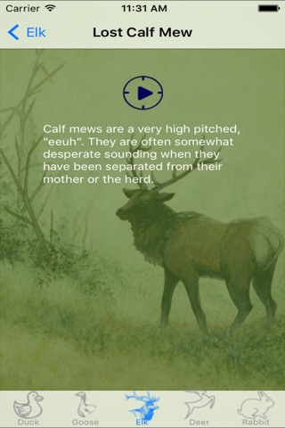 Hunting Calls Super screenshot 3