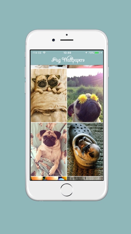 Pug Life HD - PawPapers