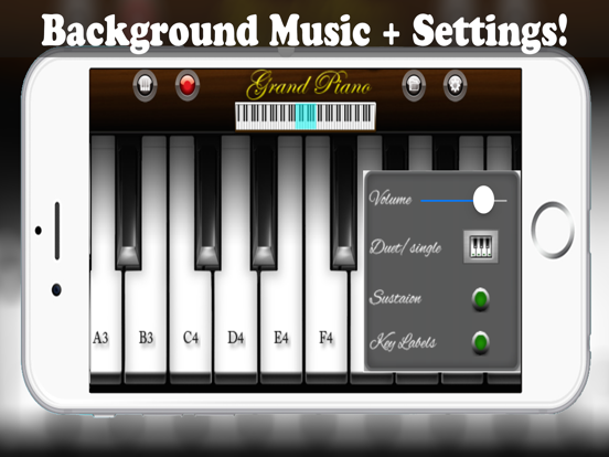 Virtual Piano Pro - Real Keyboard Music Maker with Chords Learning and Songs Recorder iPad screenshot