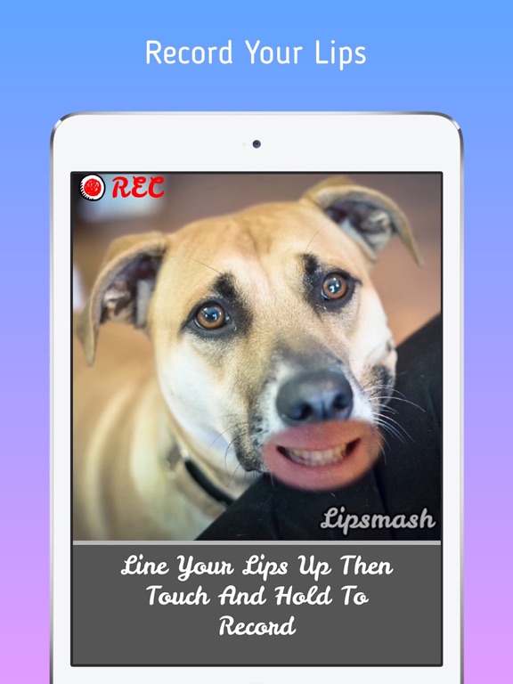 Screenshot #5 pour Lipsmash - Make Photos Talk