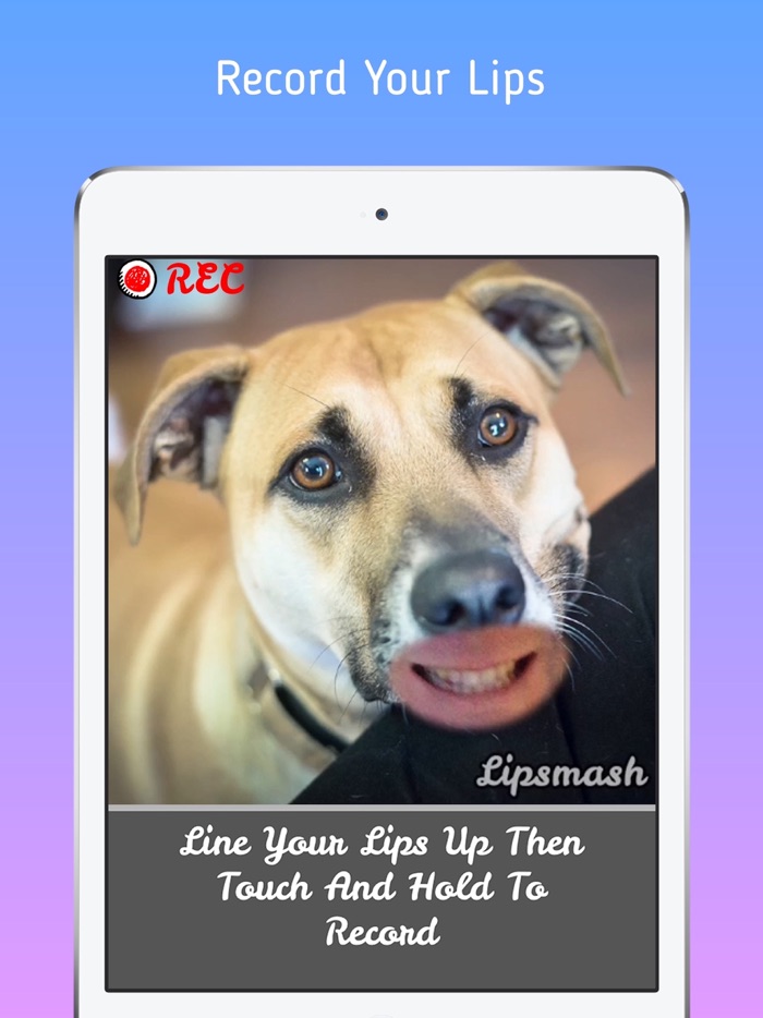 Lipsmash - Make Photos Talk