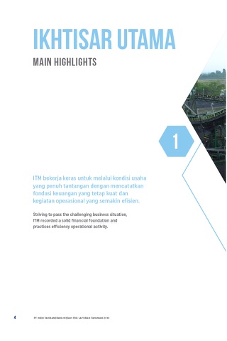 ITM 2015 Annual Report screenshot 2