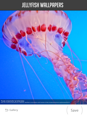 Screenshot #6 pour Jellyfish Wallpapers