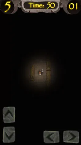 Game screenshot Prince Viking in Dungeon apk