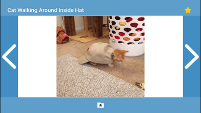 Screenshot #2 pour Gifrific Kids