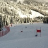 AlpineSkiRacingClub