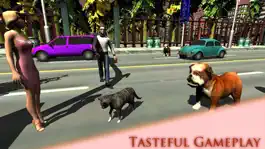 Game screenshot Real Cat Simulator mod apk