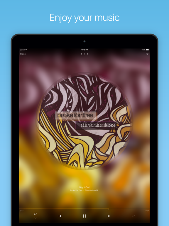 File Manager Plus iPad screenshot 4 - Business app