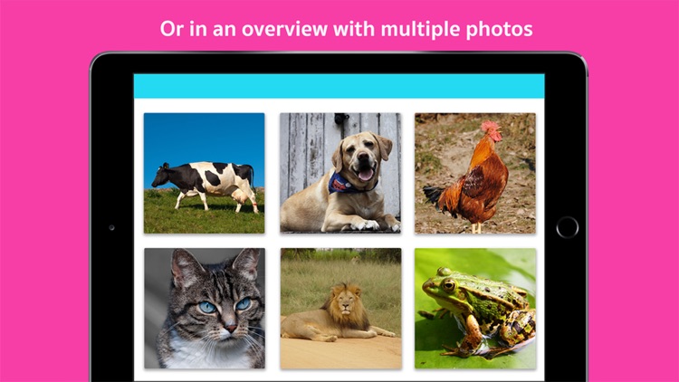 Photo album creator screenshot-3
