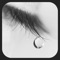 Spirit SPA music is one of the easiest ways to calm your heart and promotes a relaxation response