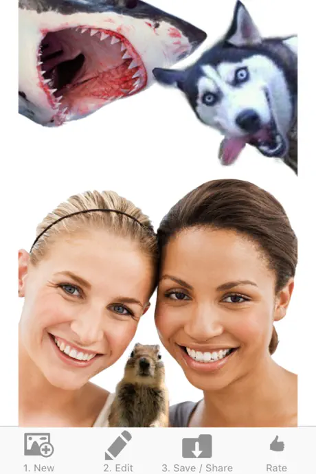 Selfie Photobombs Free
