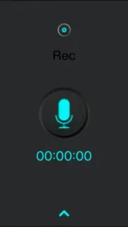 super voice recorder for iphone, record your meetings. best audio recorder iphone screenshot 1