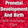 Prenetal Development And Birth 3800 Study Notes