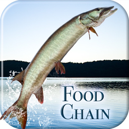i Fishing Food Chain