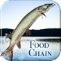 I Fishing Food Chain app download