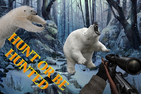 Aggressive Bear Hunter 2016: the Ultimate sniper hunt-ing in snow screenshot 4