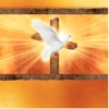 Greater Good Hope