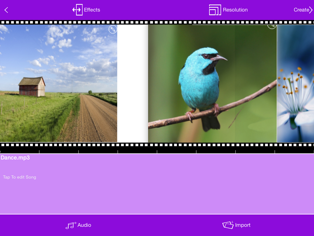 Movito