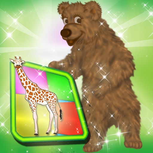 Wild Animals Memory Flash Cards icon