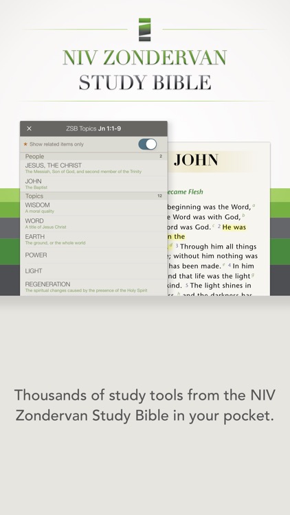 NIV Zondervan Study Bible