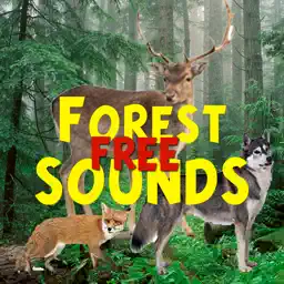 Forest Sounds Free app icon