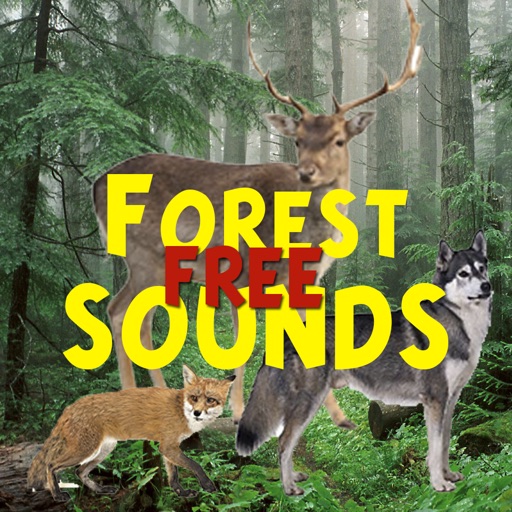 Forest Sounds Free icon