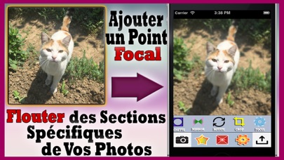 Screenshot #3 pour Photogramme – Editeur Puissant de Photos + Collage