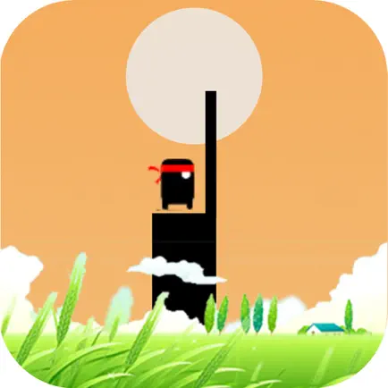 Bridge Stick Читы