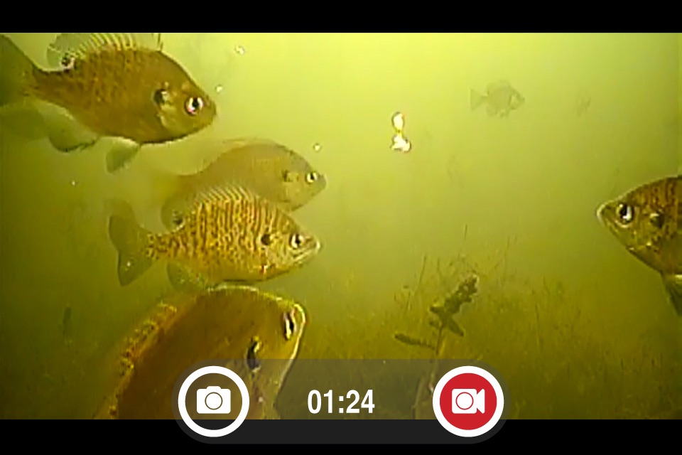 FishSens SondeCAM screenshot 3