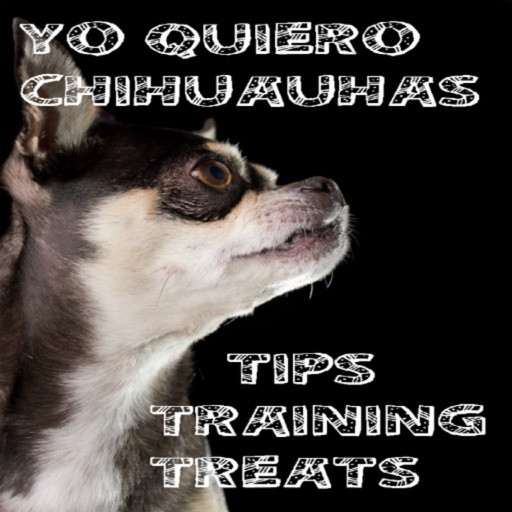 Yo Quiero Chihuahua!