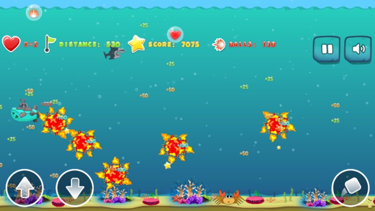 mad shark sea attack