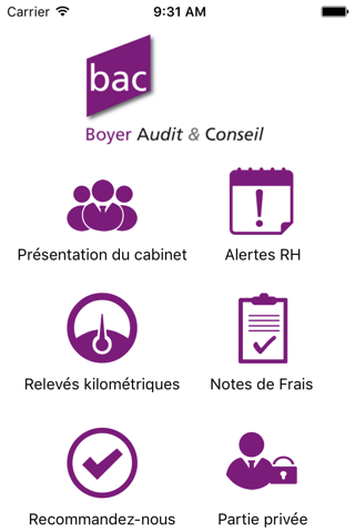 Boyer Audit - náhled