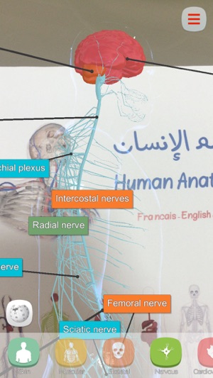 Anatomy AR(圖3)-速報App