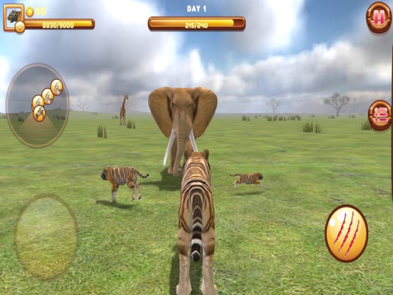 TouchArcade